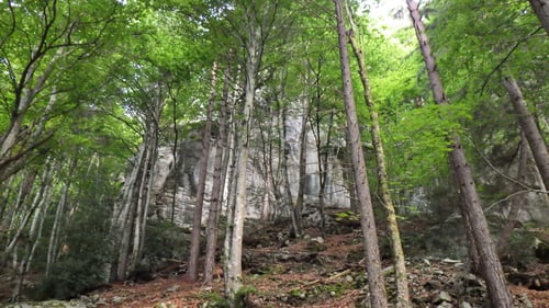 Der Sektor Bockstor Extrem liegt im schattigen Wald.