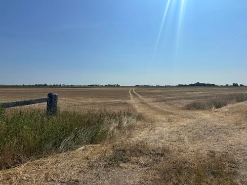 2025/06: Hortobágyi-Nationalpark (HUN)