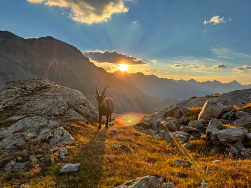 2022/08: Mystische Momente bei Sonnenuntergang in der Nähe der Bordierhütte (VS/CH)