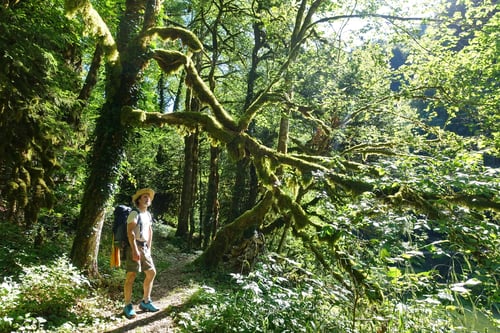 2022/07: Wanderung entlang des Doubs (F)