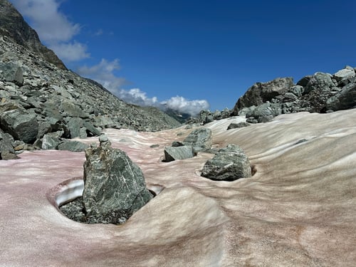 2024/07: Schnee- und Farbtupfer in einer doch so steinigen Landschaft sorgen für Abwechslung (CH/VS)