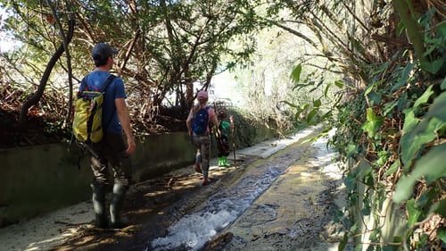Kurz vor der Mündung des Orisbachs in die Ergolz.