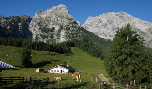 Strahlender Sonnenschein am nächsten Morgen.