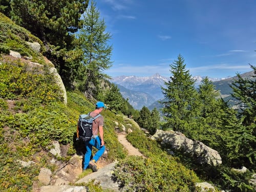 Und immer das majestätische Bietschhorn im Blickfeld...