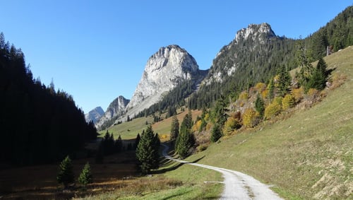 Schon die Hinfahrt auf die Alp Ramseren ist eine Augenweide