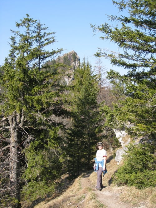 Ein wunderschöner Weg führt zum Gipfel.
