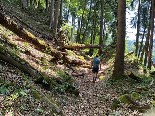 2023/06: Unterwegs auf meiner Weitwanderung von Salzburg nach Wien (A)