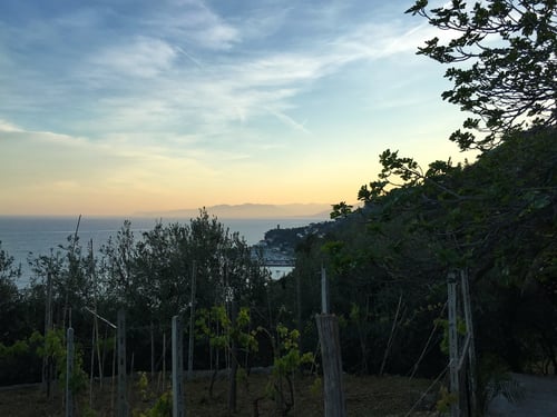 Aussicht vom Garten des La Selvas