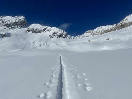 Vor mir die einsame Spur des Vortages...