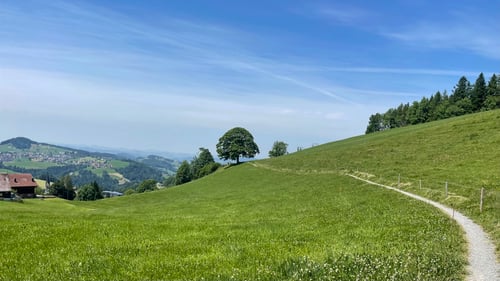 2021/06: Rehetobel (CH/AR)