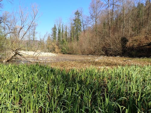 ...und erreichen einen einsamen, unbekannten und wunderschönen Ort.