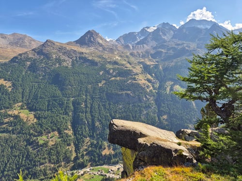 2024/09: Walliser Lion-King Felsen (CH/VS)