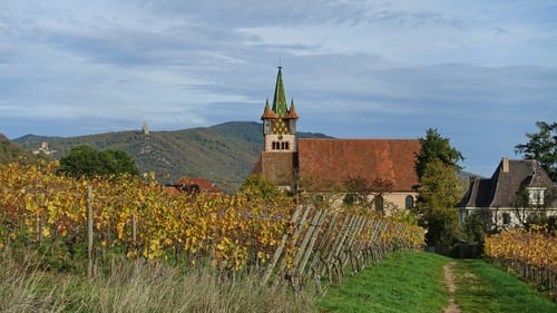 Blick zurück zur Kirche von Châtenois. Im Hintergrund die Burgruine Ortenburg und Burg Bernstein.