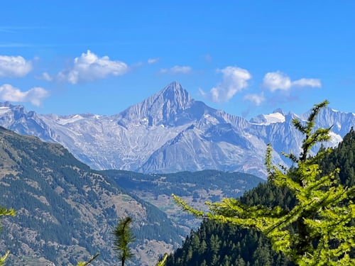 Herrlicher Blick auf das Bishorn.