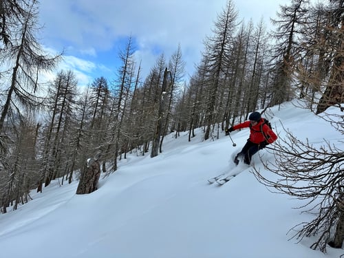 Spassige Abfahrt im Neuschnee