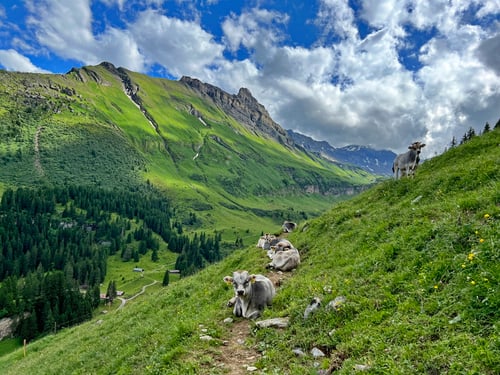 Der lange Abstieg wurde durch tolle Landschaftsbilder belohnt.