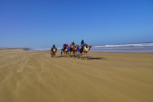 2023/04: An den Stränden auf dem Weg nach Sidi Kaouki (MA)
