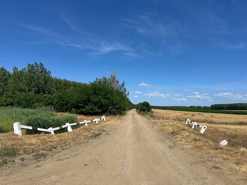 2025/06: Feldweg (HUN)