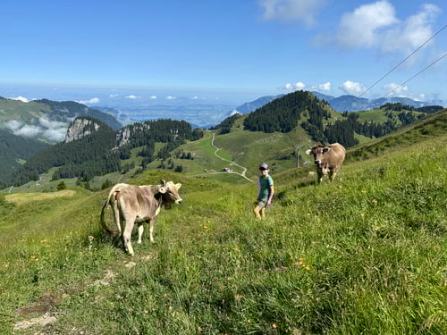 Abstieg nach Tannibüel.