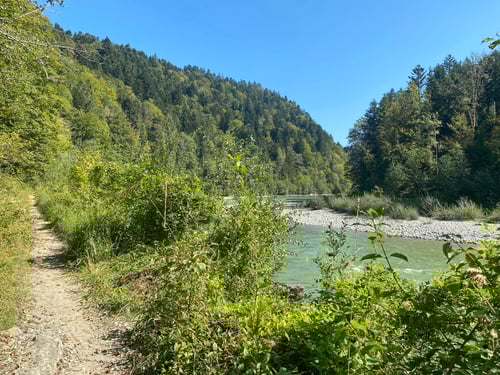 Toller Weg entlang der Bregenzerarch.