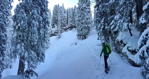 In der Waldpassage von Fürstein