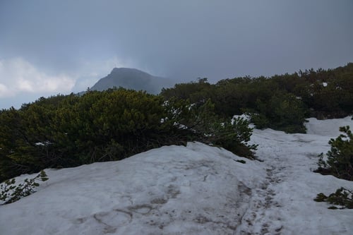 Auf dem Weg zum Karkopf 1738m (im Hintergrund)