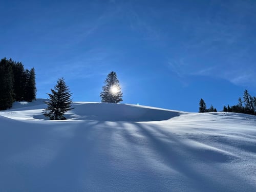 2021/02: Hüttstett oberhalb Lungern (CH/OW)