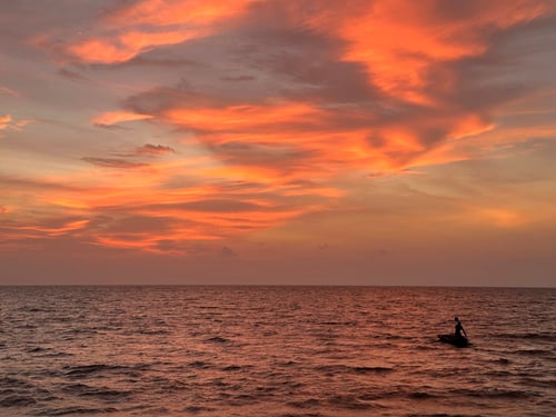 2025/10: Blick auf das Arabische Meer (Kerala/Indien)