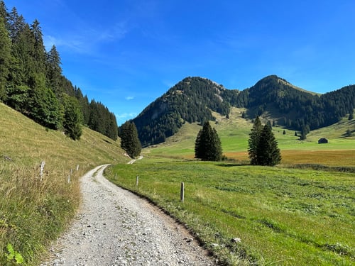 Eine liebliche Gegend!