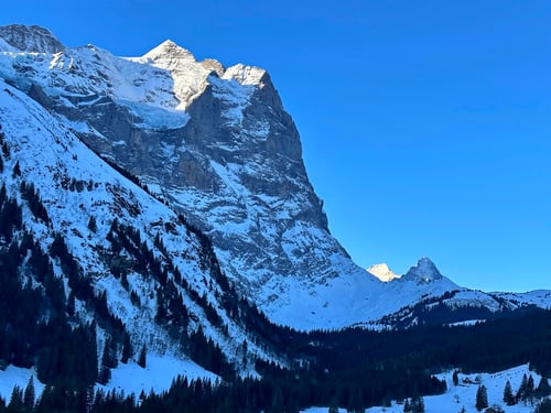 Bei so einem Tagesanbruch zieht man gerne los. Links das Wetterhorn, in der Ferne Mönch und Eiger.