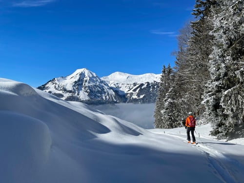2021/02: Auf der Abfahrt vom Gibel nach Lungern (CH/OW)