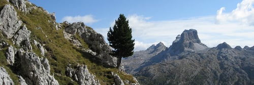 Traumhafte Landschaft !