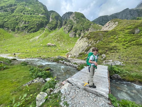 Achtung: Lamas versperren den Weg!