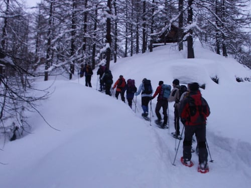 Abendwanderung auf der Alpe Devero