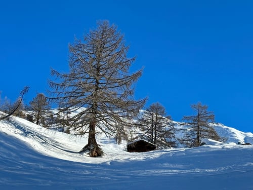 So stellt man sich die Winterlandschaft vor :-)