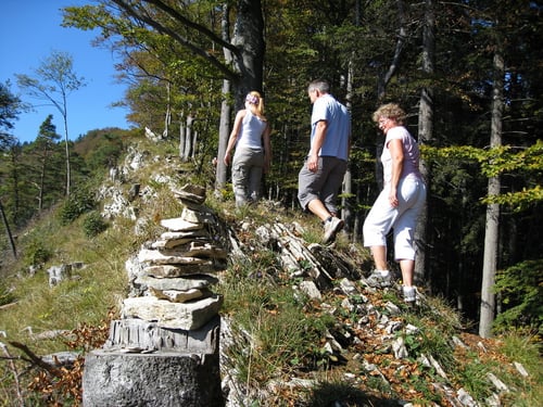 Immer schön aufwärts