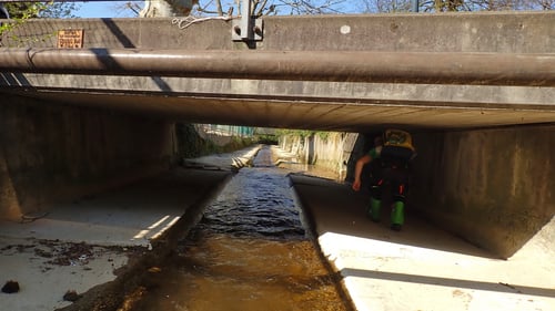 Kleine haben nicht nur Nachteile...