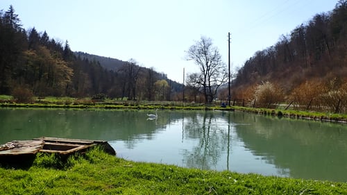 Die Forellenzucht des Orishofs.