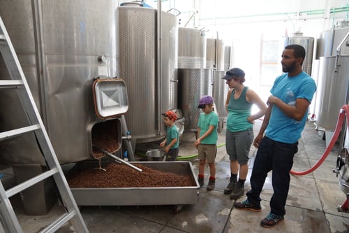 Der Besuch in der Weinfabrik. Hier wird der Chã das Caldeiras hergestellt.
