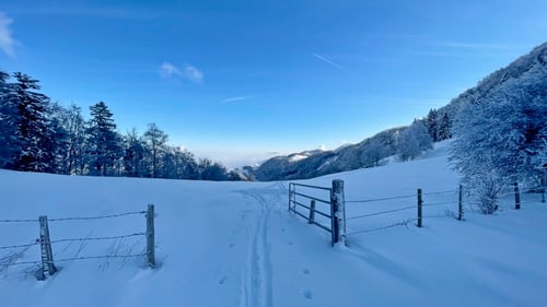 2021/01: Offene Tore oberhalb der Hundsmatt (CH/BL)