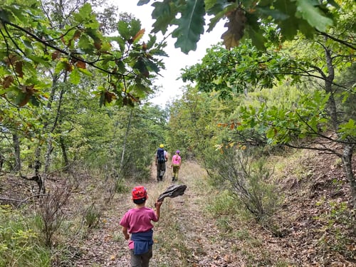 2020/10: Wanderung in der Nähe von  Castel San Niccolò (I/Arezzo)