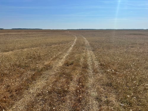 Ohne Traktorspuren wäre der Weg schwierig zu finden. Ein GPS tut gute Dienste!