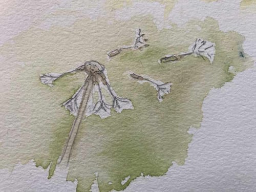 Kunsttherapie Hamburg