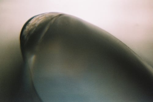 YLOP - APPUM©stephan brenn