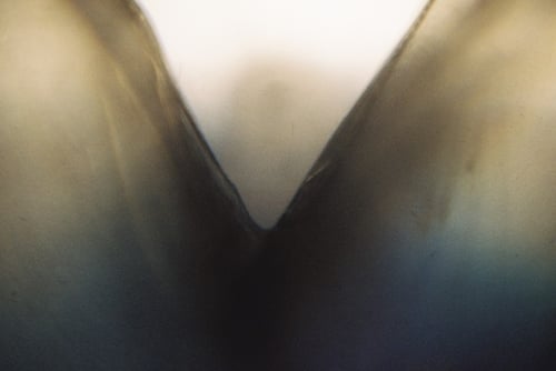 YLOP - KOID©stephan brenn