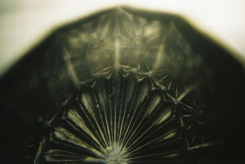 YLOP - ORTYHM©stephan brenn