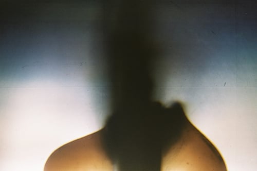 YLOP - OLIS©stephan brenn