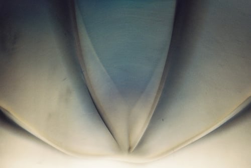 YLOP - BROID©stephan brenn