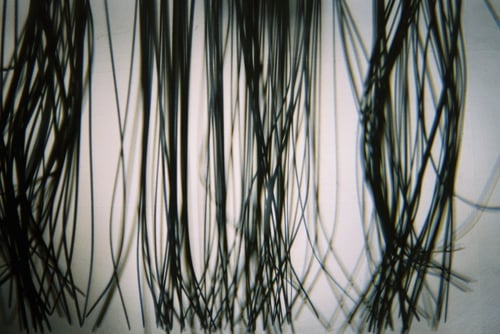 YLOP - FRAGOLL©stephan brenn