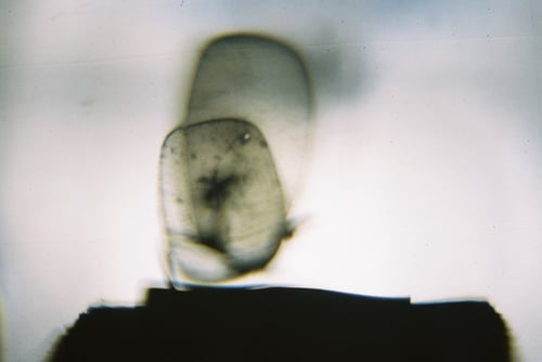 YLOP - MAREILLE©stephan brenn